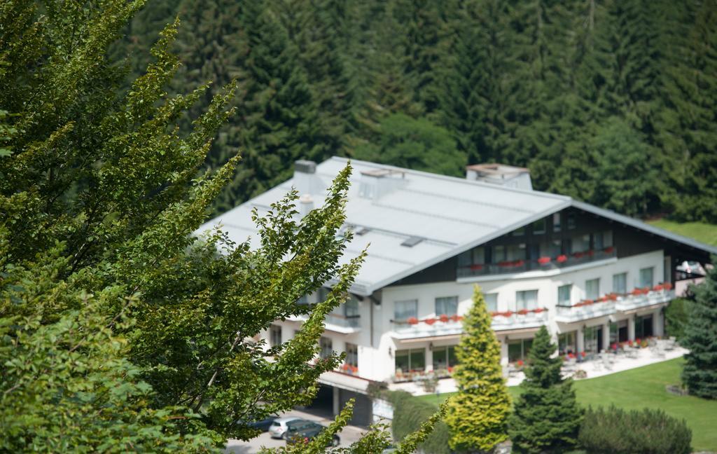 Hotel Les Buttes Ventron Zewnętrze zdjęcie